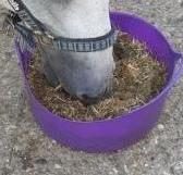 Horseheath Independent Equine Nutrition Consultancy